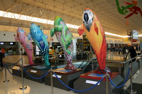 Expo-Orca en Gandor
