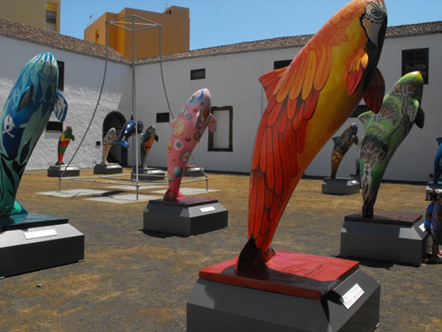 expo-OrcasLaPalma