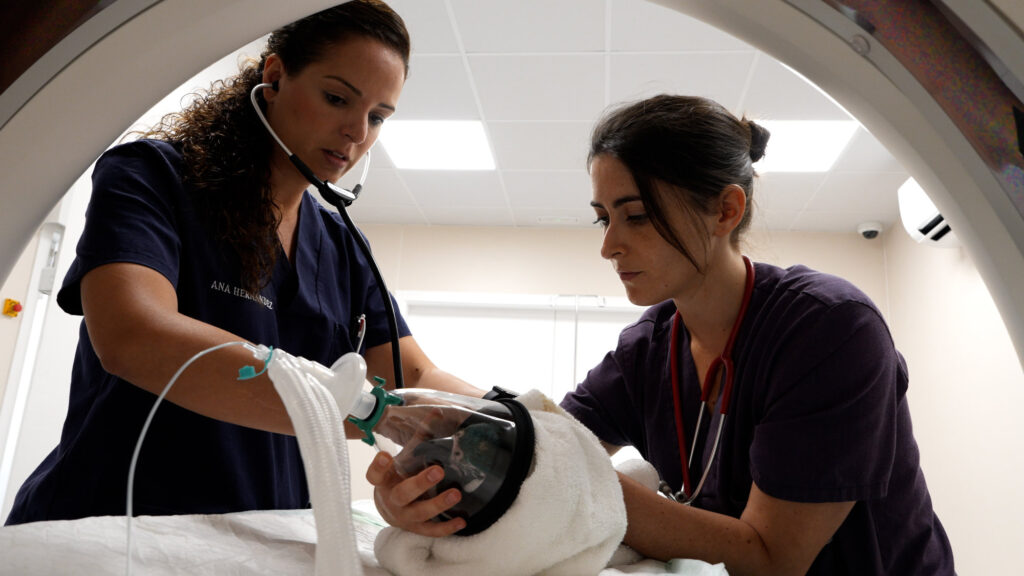 CT scanner Loro Parque